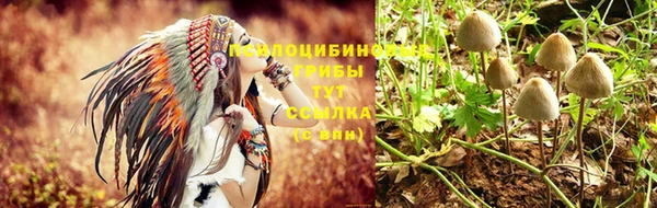 a pvp Белоозёрский