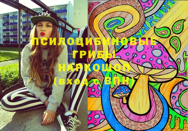 бутират Белокуриха